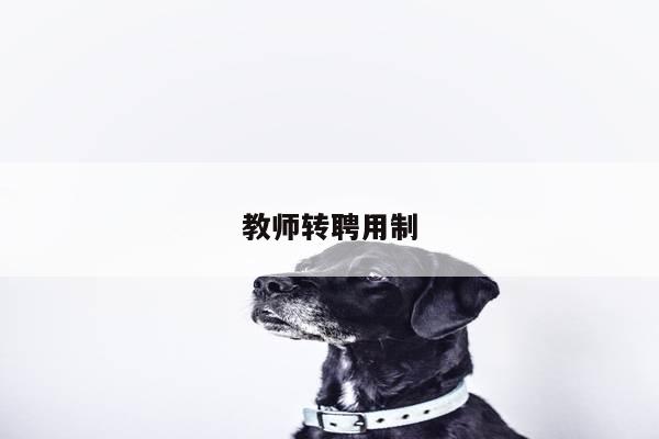 教师转聘用制