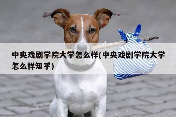 中央戏剧学院大学怎么样(中央戏剧学院大学怎么样知乎)