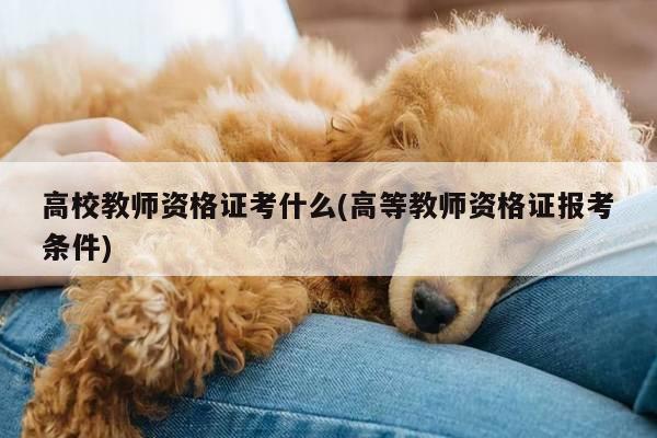 高校教师资格证考什么(高等教师资格证报考条件)