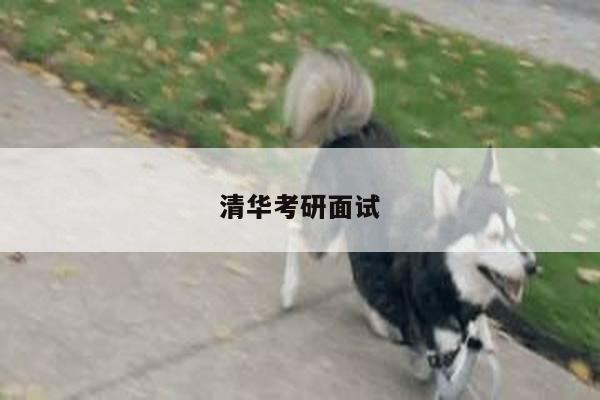 清华考研面试