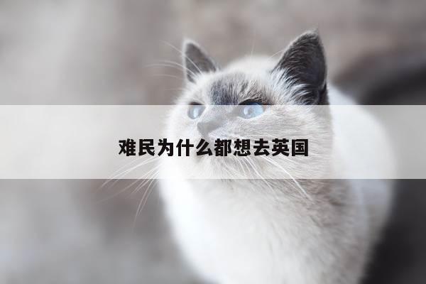难民为什么都想去英国