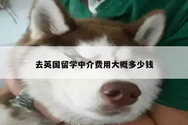 去英国留学中介费用大概多少钱