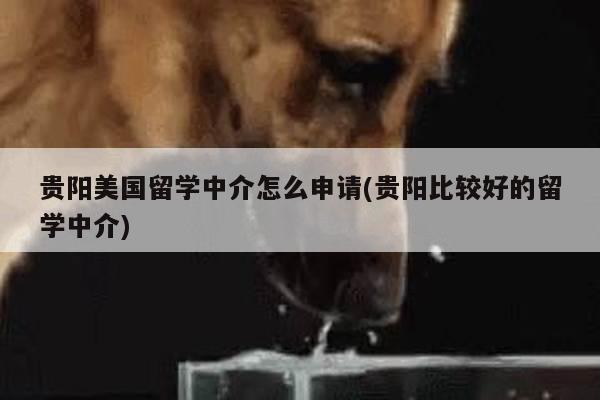 贵阳美国留学中介怎么申请(贵阳比较好的留学中介)