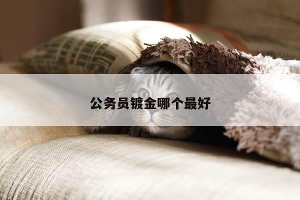 公务员镀金哪个最好