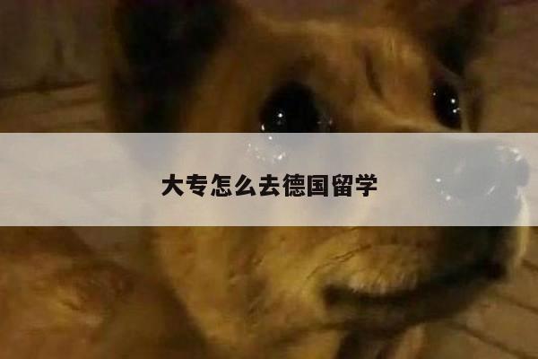 大专怎么去德国留学