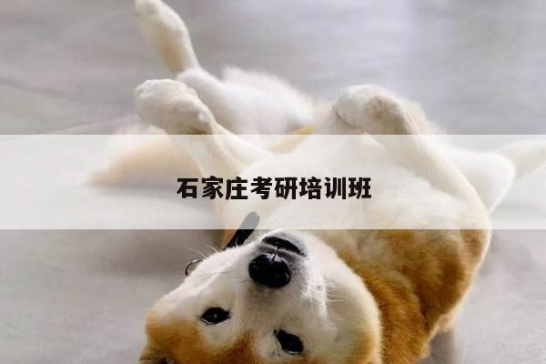 石家庄考研培训班