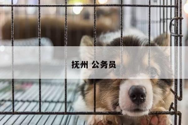 抚州 公务员