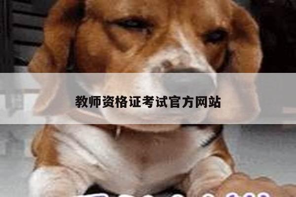 教师资格证考试官方网站