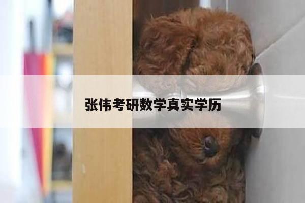 张伟考研数学真实学历