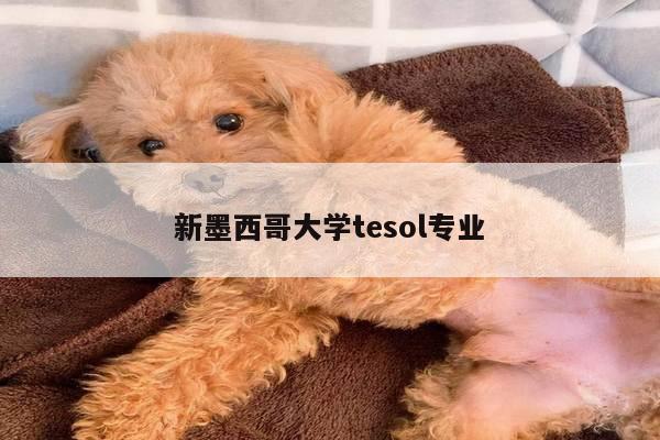 新墨西哥大学tesol专业