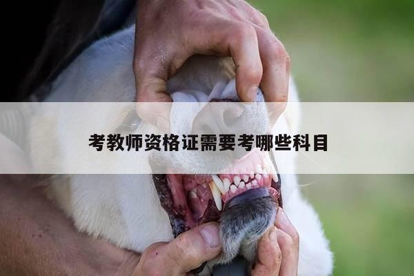 考教师资格证需要考哪些科目