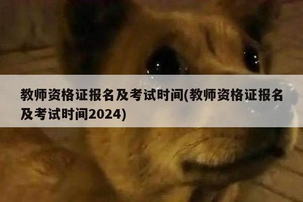 教师资格证报名及考试时间(教师资格证报名及考试时间2024)