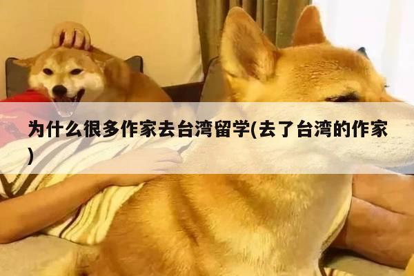 为什么很多作家去台湾留学(去了台湾的作家)