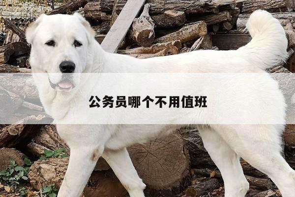 公务员哪个不用值班