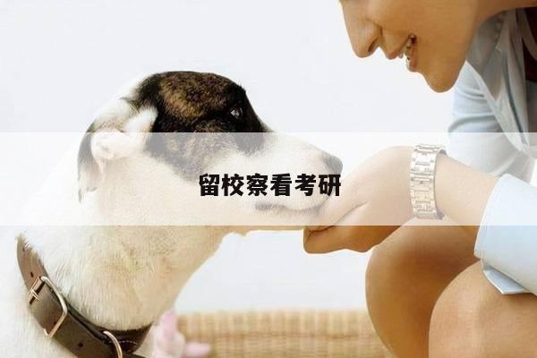 留校察看考研