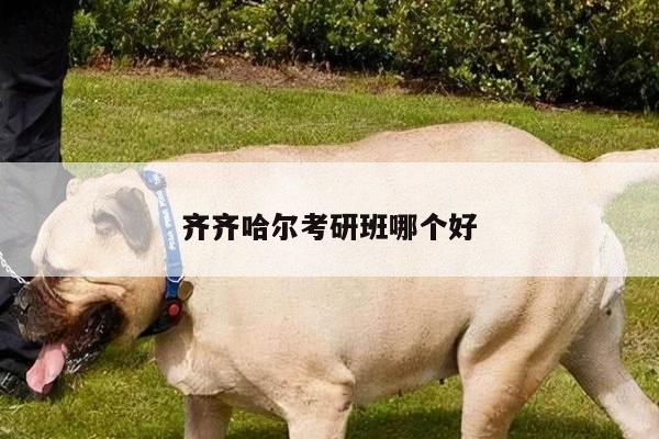 齐齐哈尔考研班哪个好