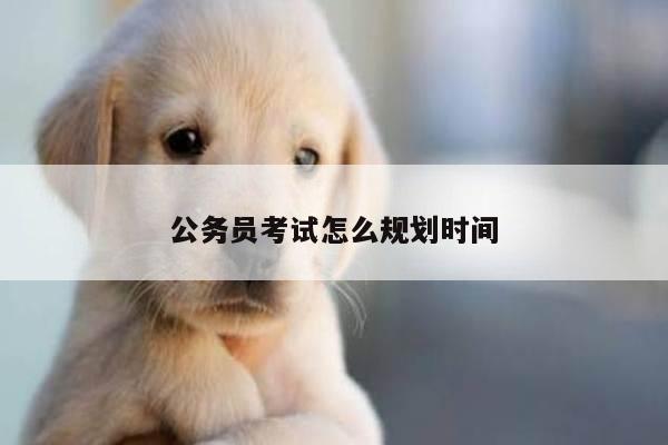 公务员考试怎么规划时间