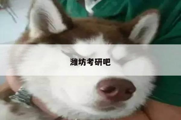 潍坊考研吧