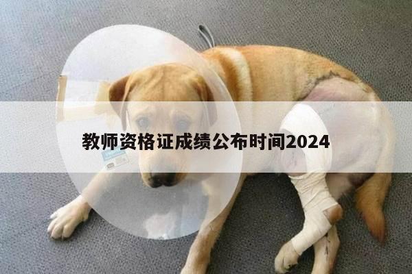 教师资格证成绩公布时间2024