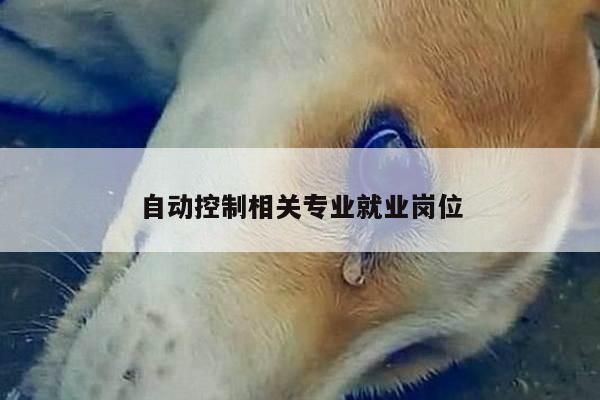 自动控制相关专业就业岗位