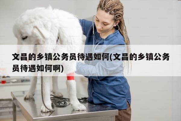 文昌的乡镇公务员待遇如何(文昌的乡镇公务员待遇如何啊)