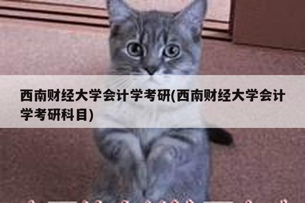 西南财经大学会计学考研(西南财经大学会计学考研科目)