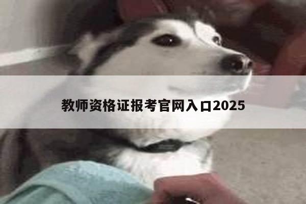 教师资格证报考官网入口2025