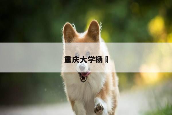 重庆大学杨甦
