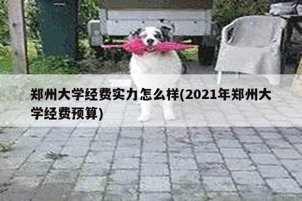 郑州大学经费实力怎么样(2021年郑州大学经费预算)