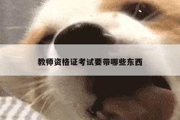 教师资格证考试要带哪些东西