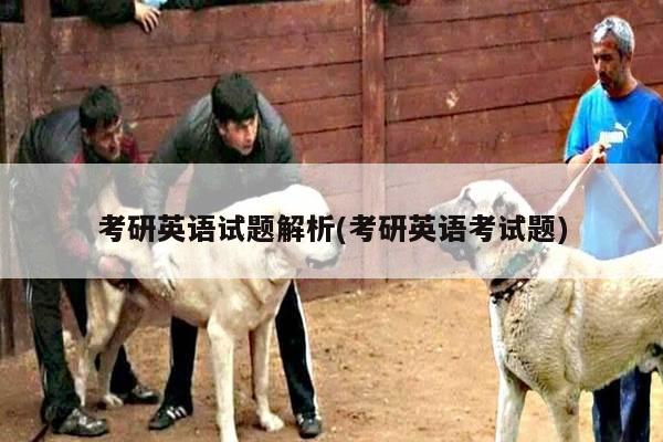 考研英语试题解析(考研英语考试题)