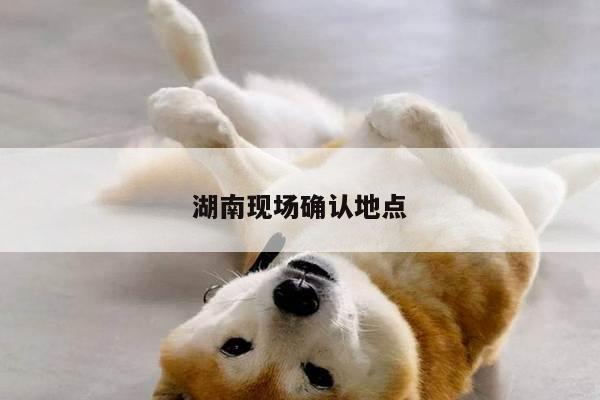 湖南现场确认地点
