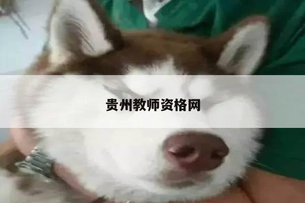 贵州教师资格网