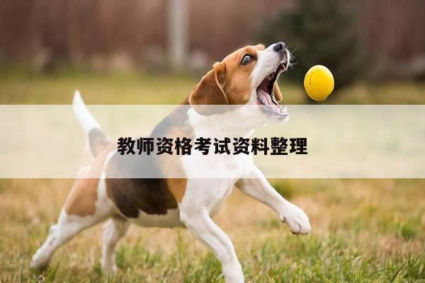 教师资格考试资料整理