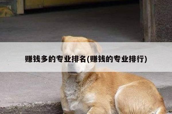 赚钱多的专业排名(赚钱的专业排行)