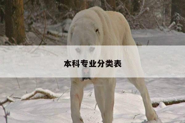 本科专业分类表
