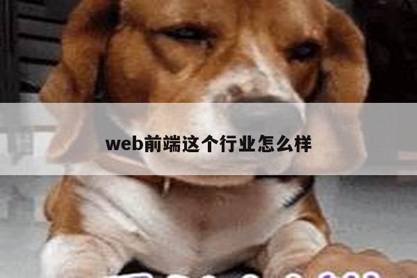 web前端这个行业怎么样