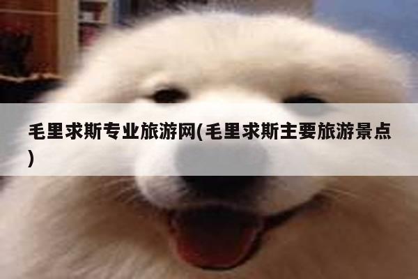 毛里求斯专业旅游网(毛里求斯主要旅游景点)