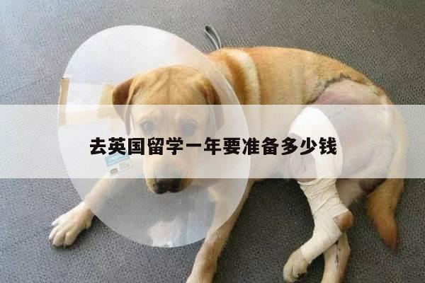 去英国留学一年要准备多少钱