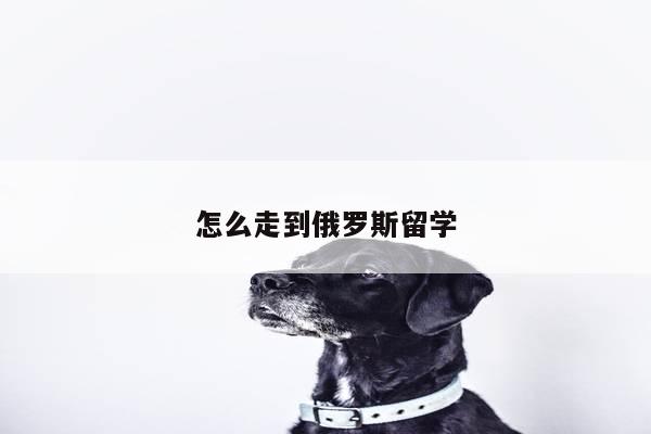 怎么走到俄罗斯留学