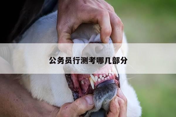 公务员行测考哪几部分