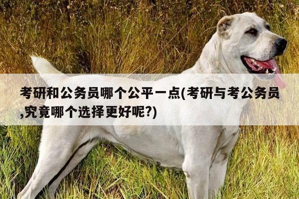 考研和公务员哪个公平一点(考研与考公务员,究竟哪个选择更好呢?)