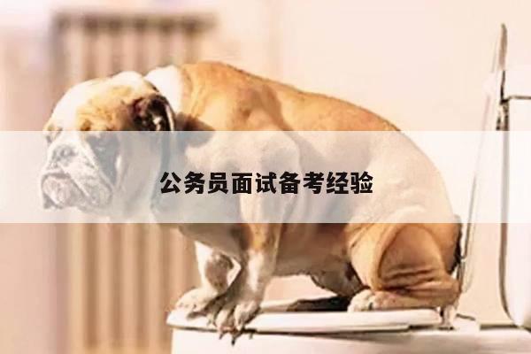 公务员面试备考经验