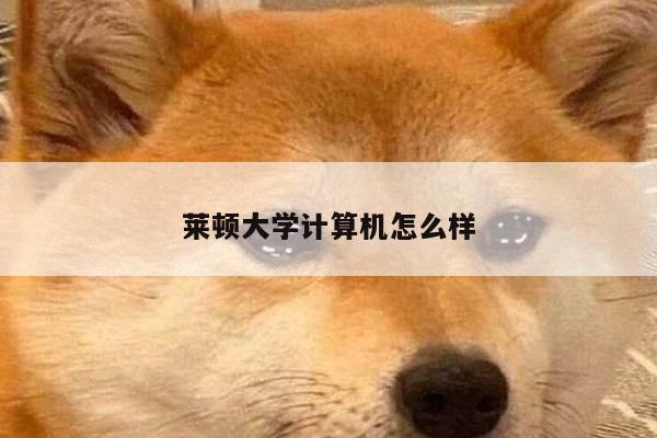 莱顿大学计算机怎么样
