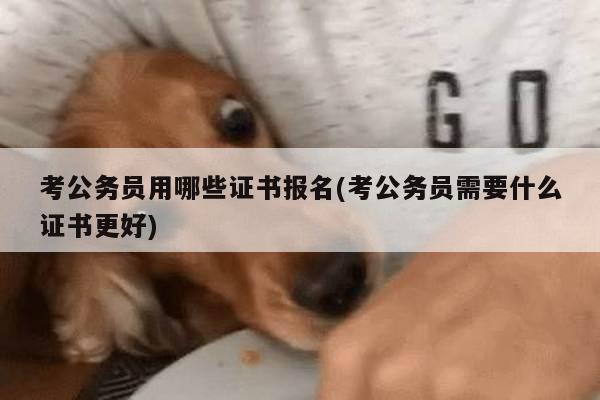 考公务员用哪些证书报名(考公务员需要什么证书更好)