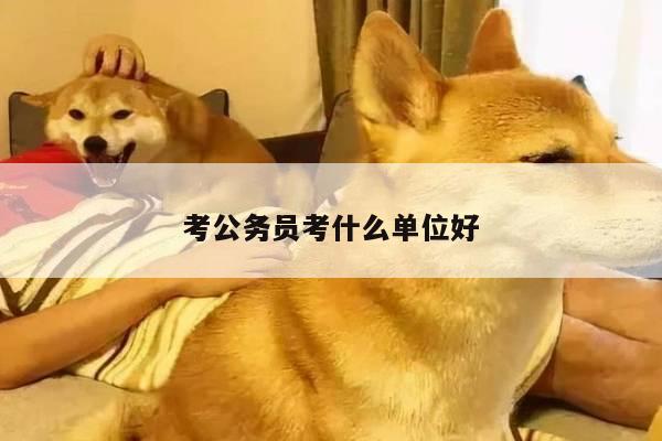 考公务员考什么单位好