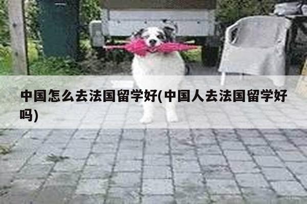 中国怎么去法国留学好(中国人去法国留学好吗)
