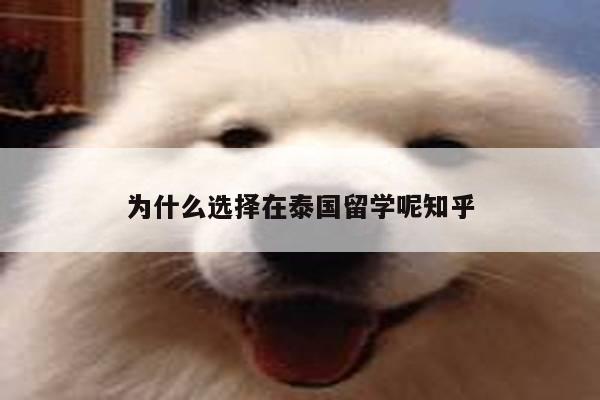 为什么选择在泰国留学呢知乎