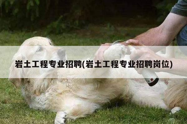 岩土工程专业招聘(岩土工程专业招聘岗位)