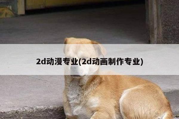 2d动漫专业(2d动画制作专业)